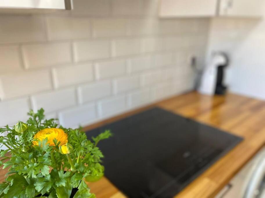 Apartamento Centrico-Parking Gratuito-Wifi Santander Exterior foto